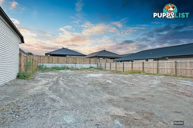 20 Carson Street MANGO HILL QLD 4509