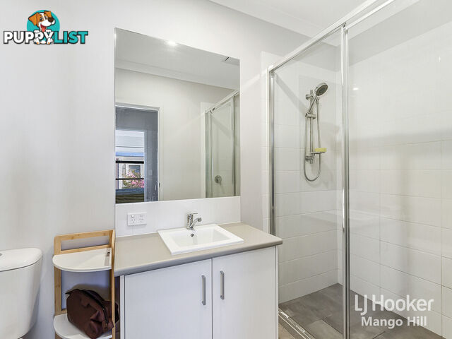 13 Cardew Street MANGO HILL QLD 4509
