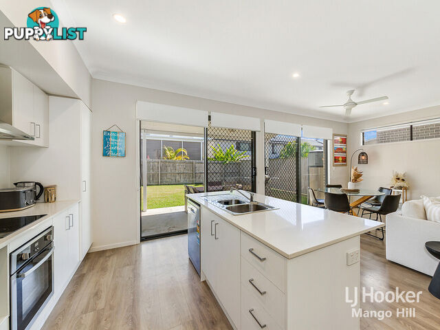 13 Cardew Street MANGO HILL QLD 4509