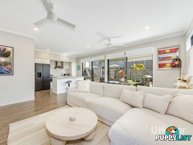 13 Cardew Street MANGO HILL QLD 4509