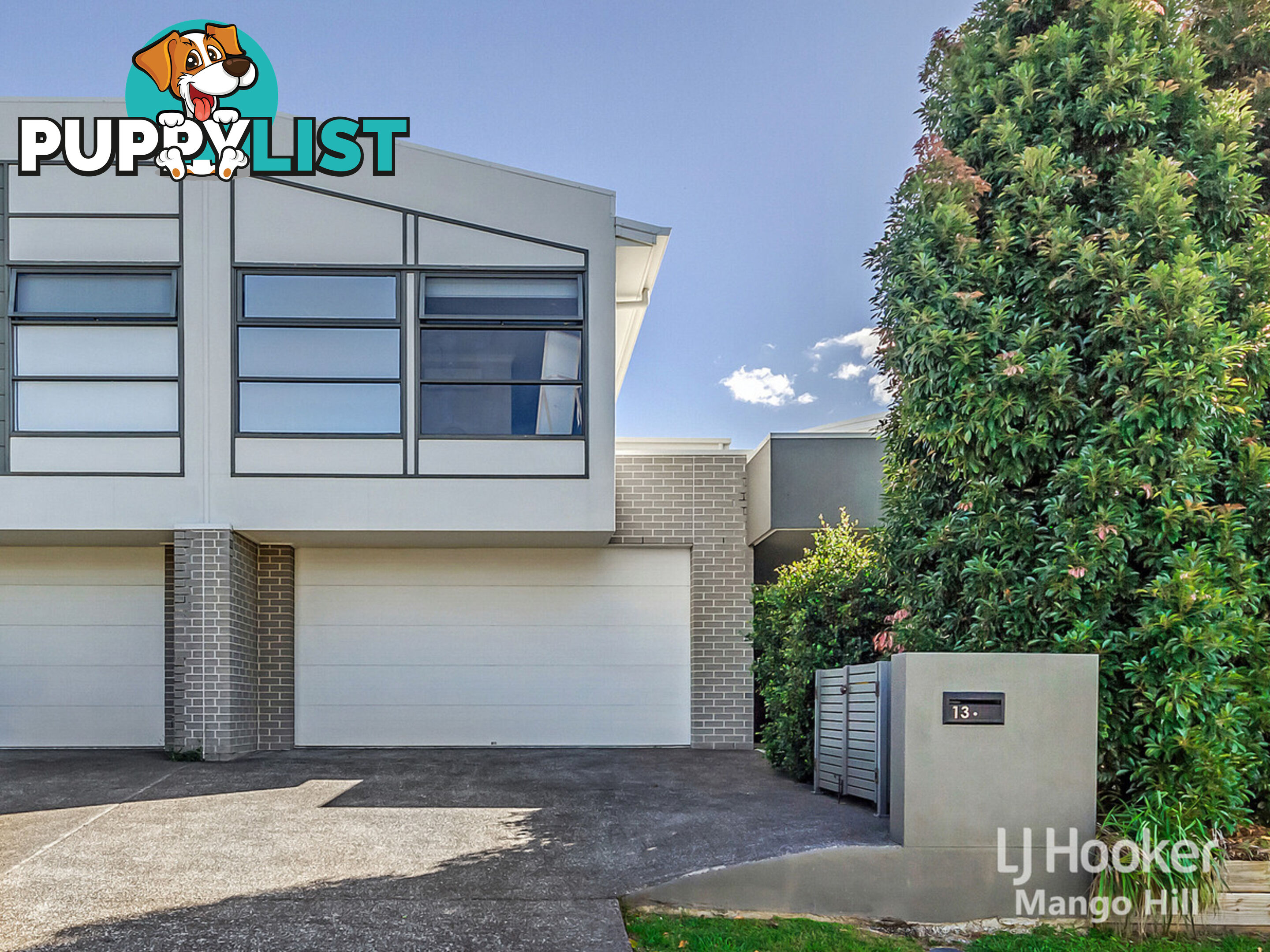 13 Cardew Street MANGO HILL QLD 4509