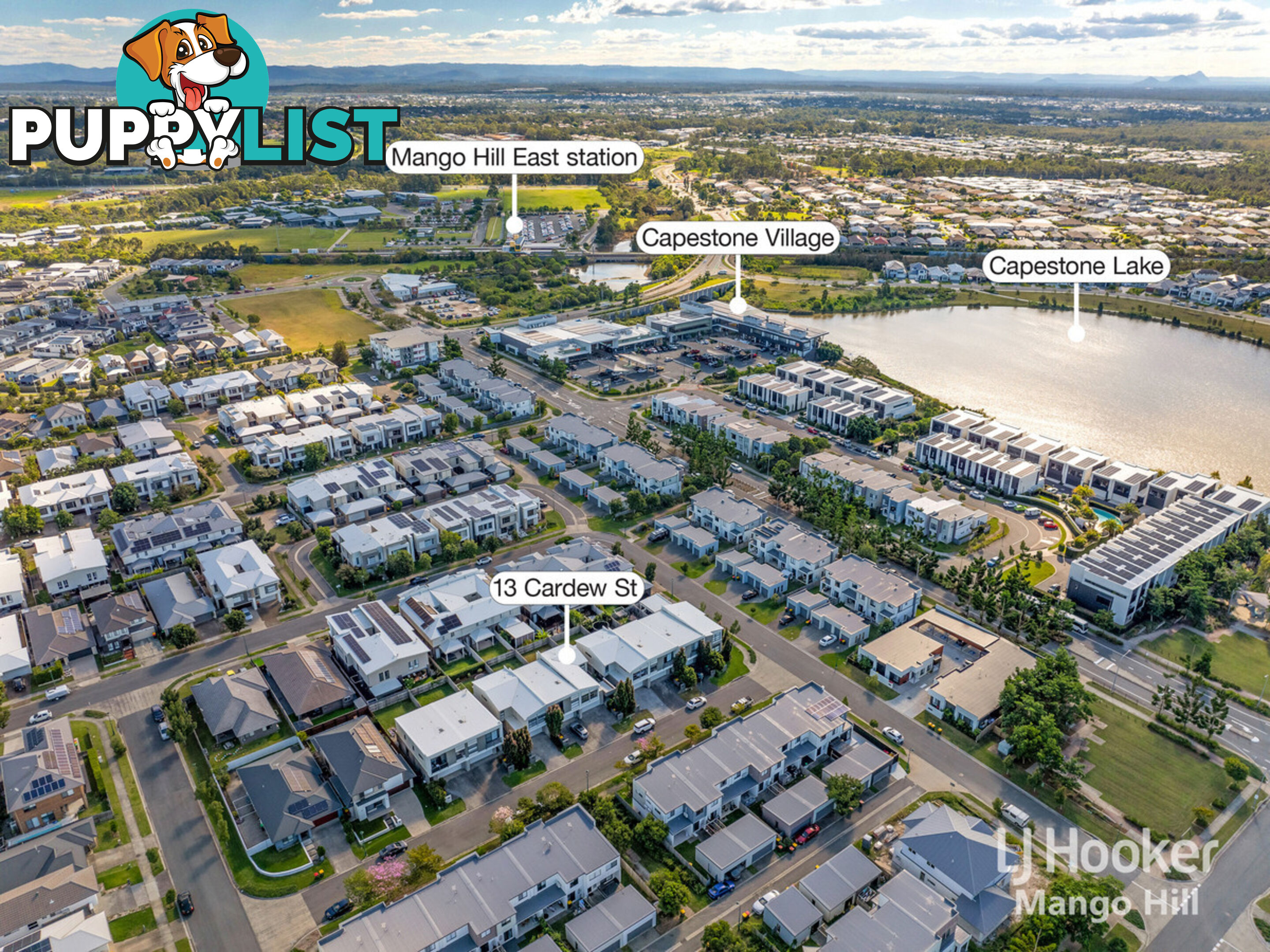 13 Cardew Street MANGO HILL QLD 4509