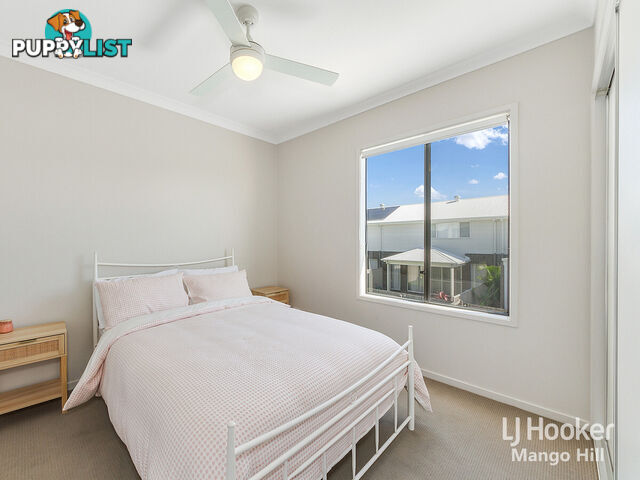 13 Cardew Street MANGO HILL QLD 4509