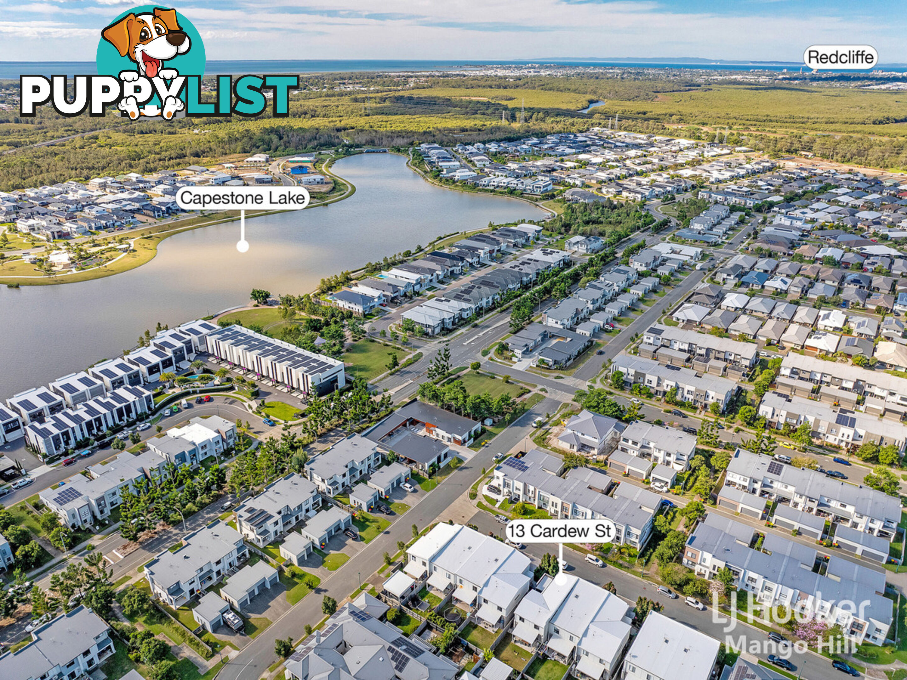 13 Cardew Street MANGO HILL QLD 4509