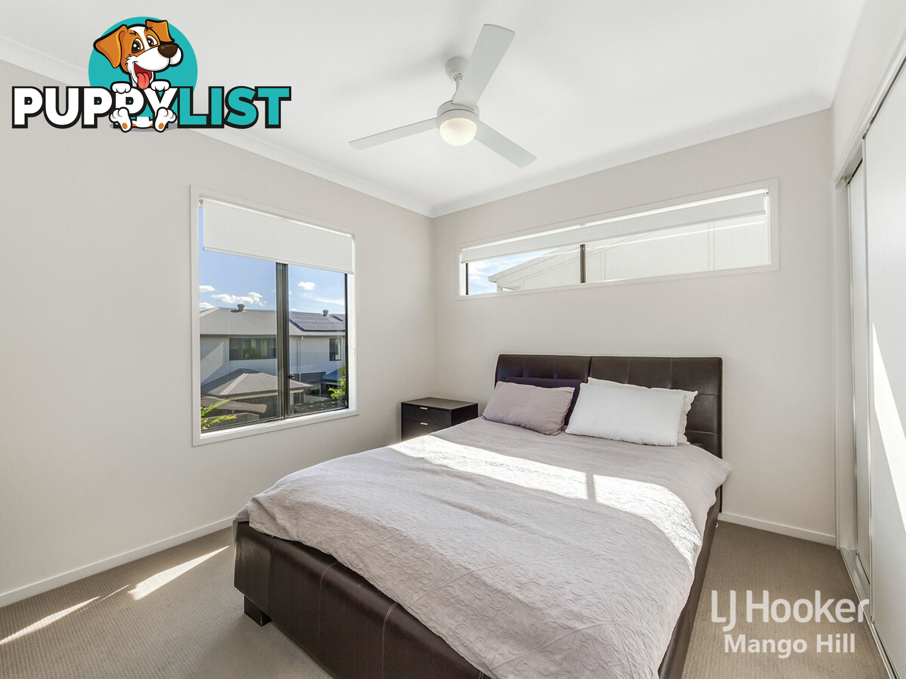 13 Cardew Street MANGO HILL QLD 4509