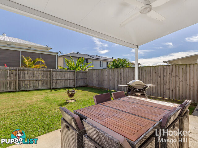 13 Cardew Street MANGO HILL QLD 4509