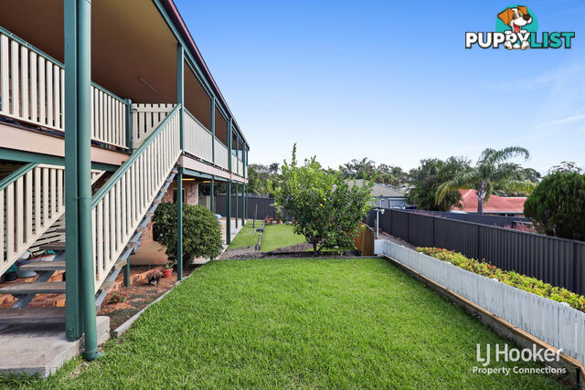 20 Raffindale Avenue DAKABIN QLD 4503