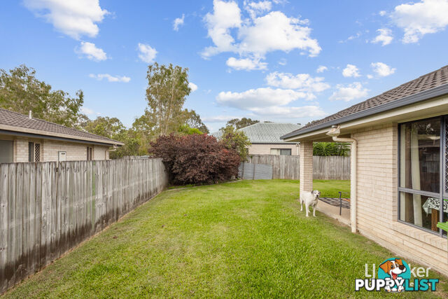 3 Freney Court CABOOLTURE QLD 4510