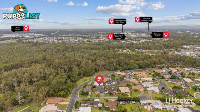 3 Freney Court CABOOLTURE QLD 4510