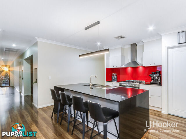 37 Elderflower Circuit GRIFFIN QLD 4503