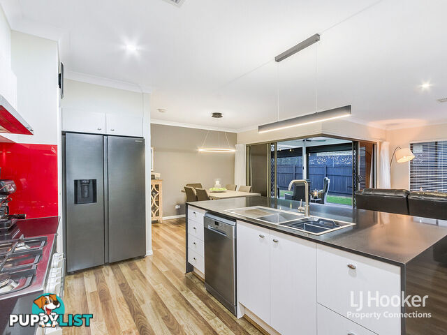 37 Elderflower Circuit GRIFFIN QLD 4503