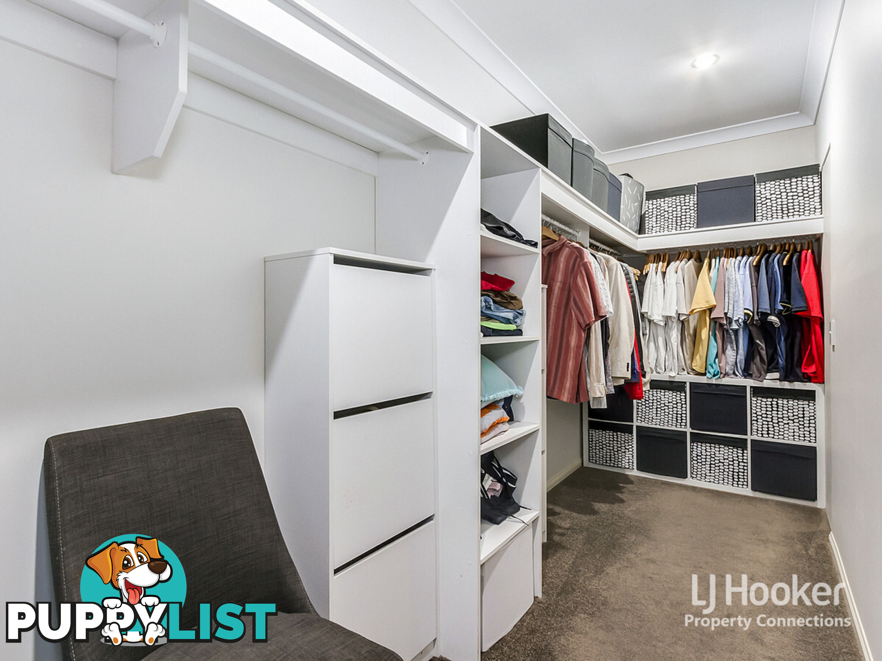 37 Elderflower Circuit GRIFFIN QLD 4503