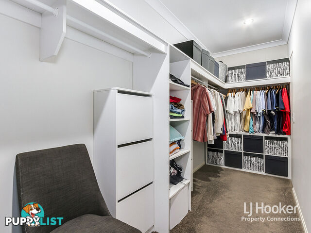 37 Elderflower Circuit GRIFFIN QLD 4503