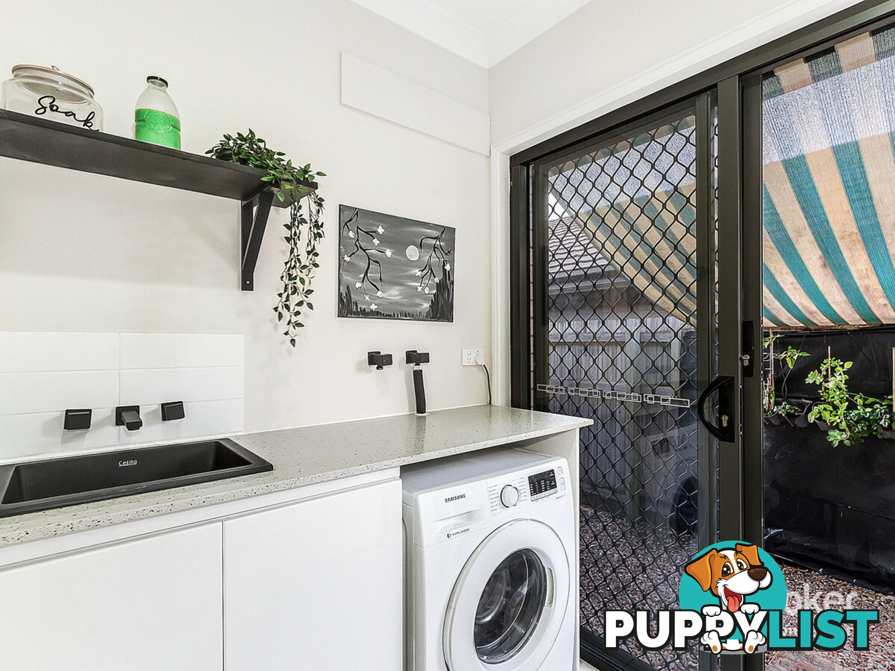 37 Elderflower Circuit GRIFFIN QLD 4503