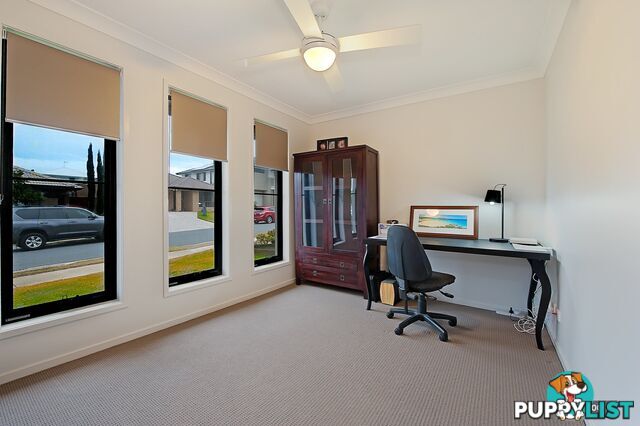 8 Martin Street MANGO HILL QLD 4509