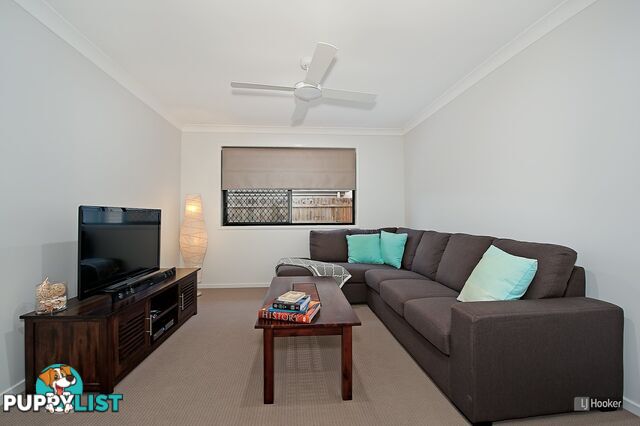 8 Martin Street MANGO HILL QLD 4509