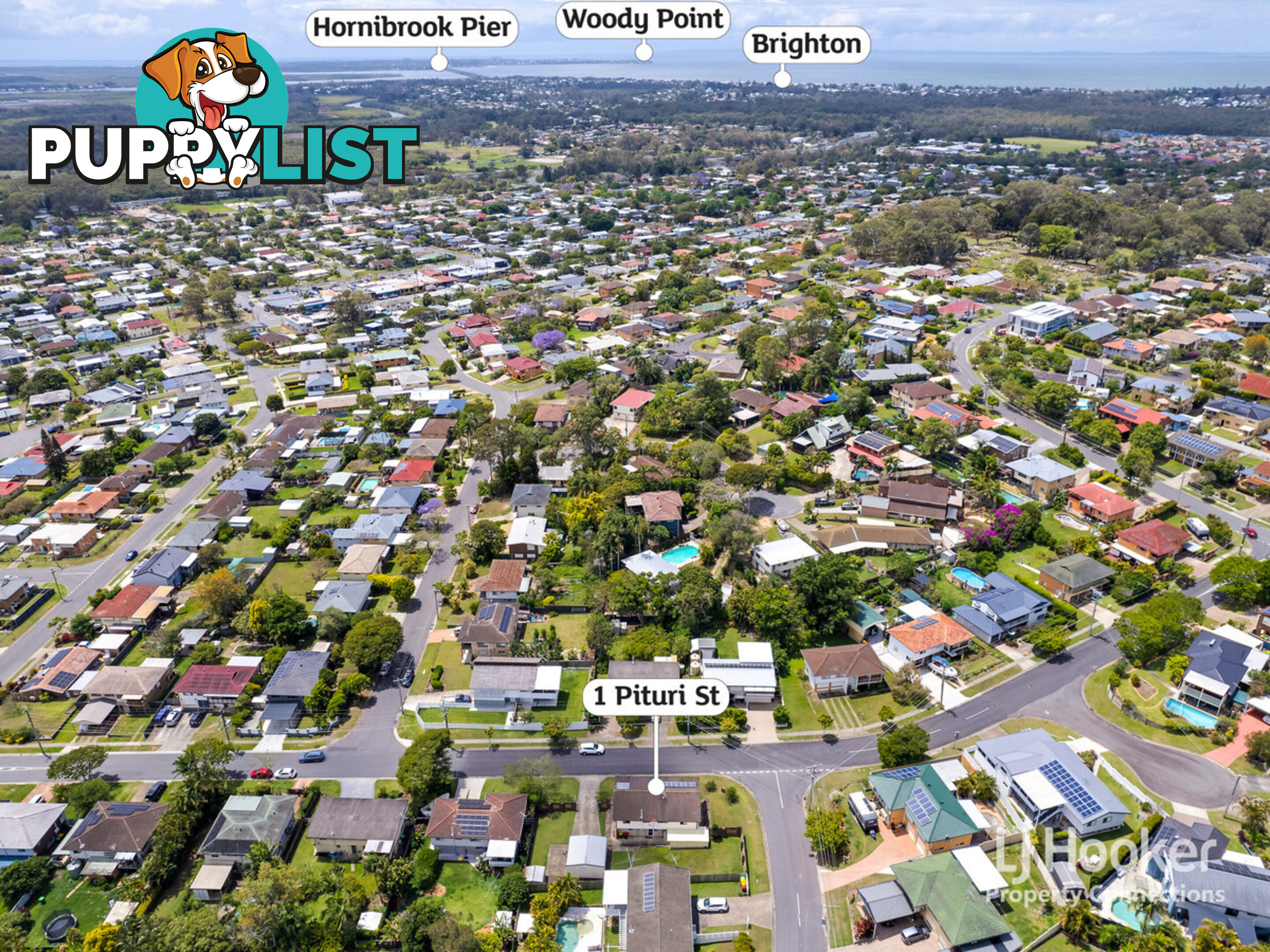 1 Pituri Street BRACKEN RIDGE QLD 4017