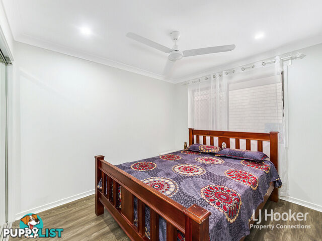 6 Elderflower Circuit GRIFFIN QLD 4503