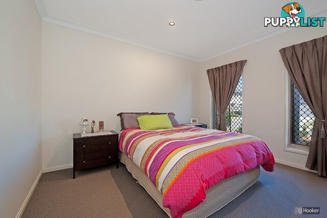 26 Hinton Crescent MANGO HILL QLD 4509