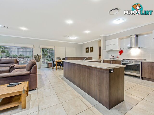 7 Foambark Street NORTH LAKES QLD 4509