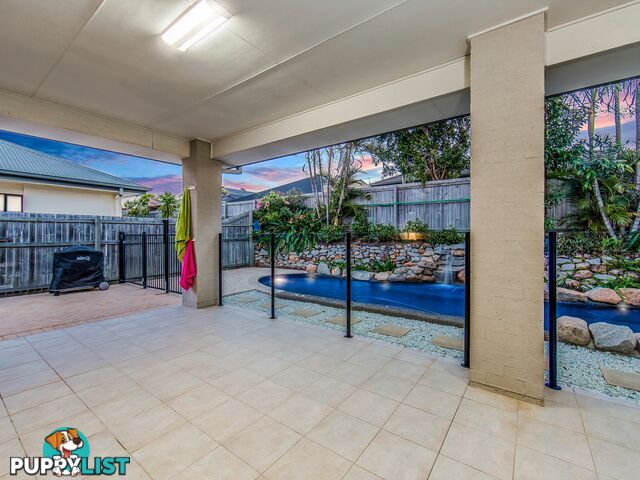 7 Foambark Street NORTH LAKES QLD 4509