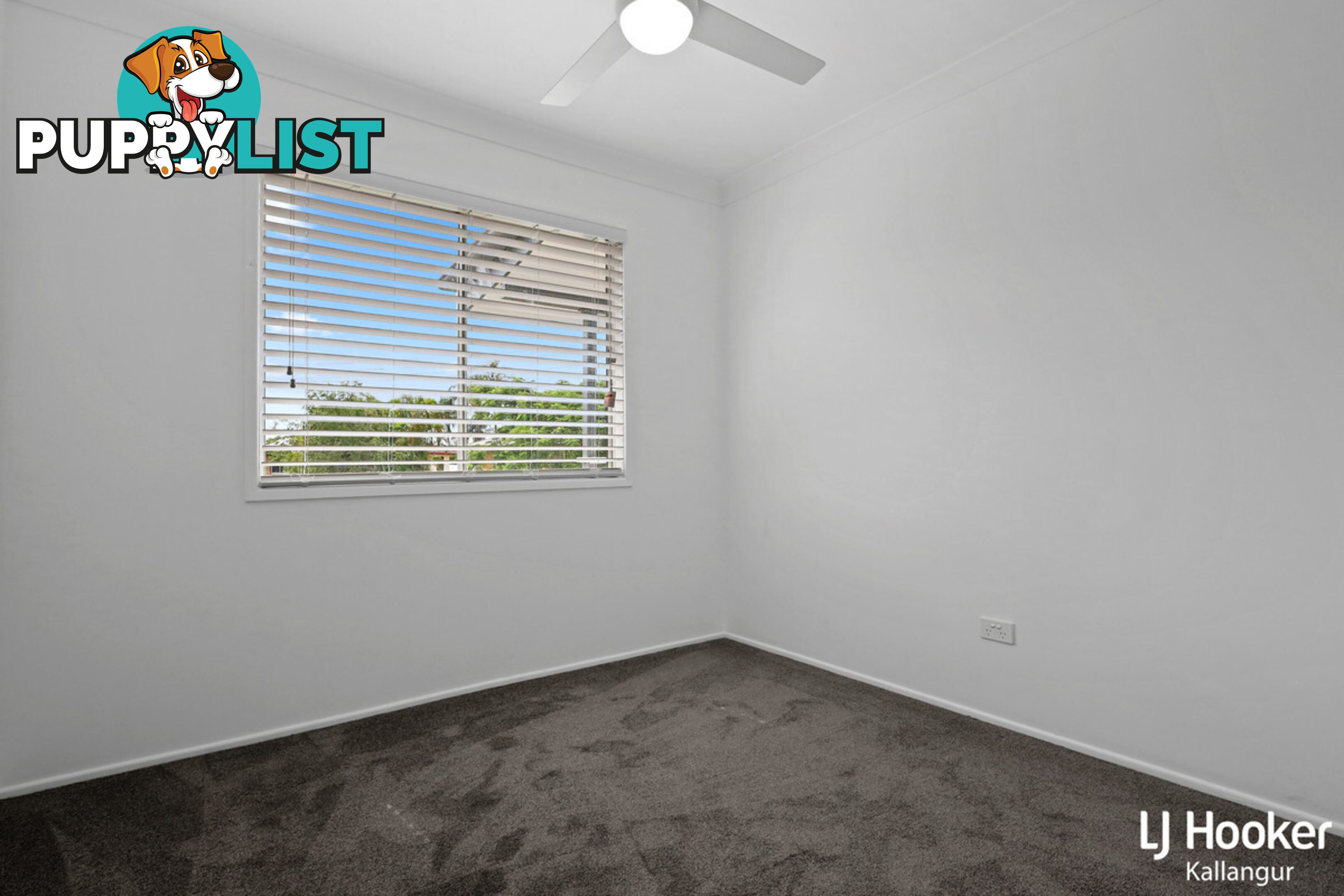 6 Gail Street KALLANGUR QLD 4503