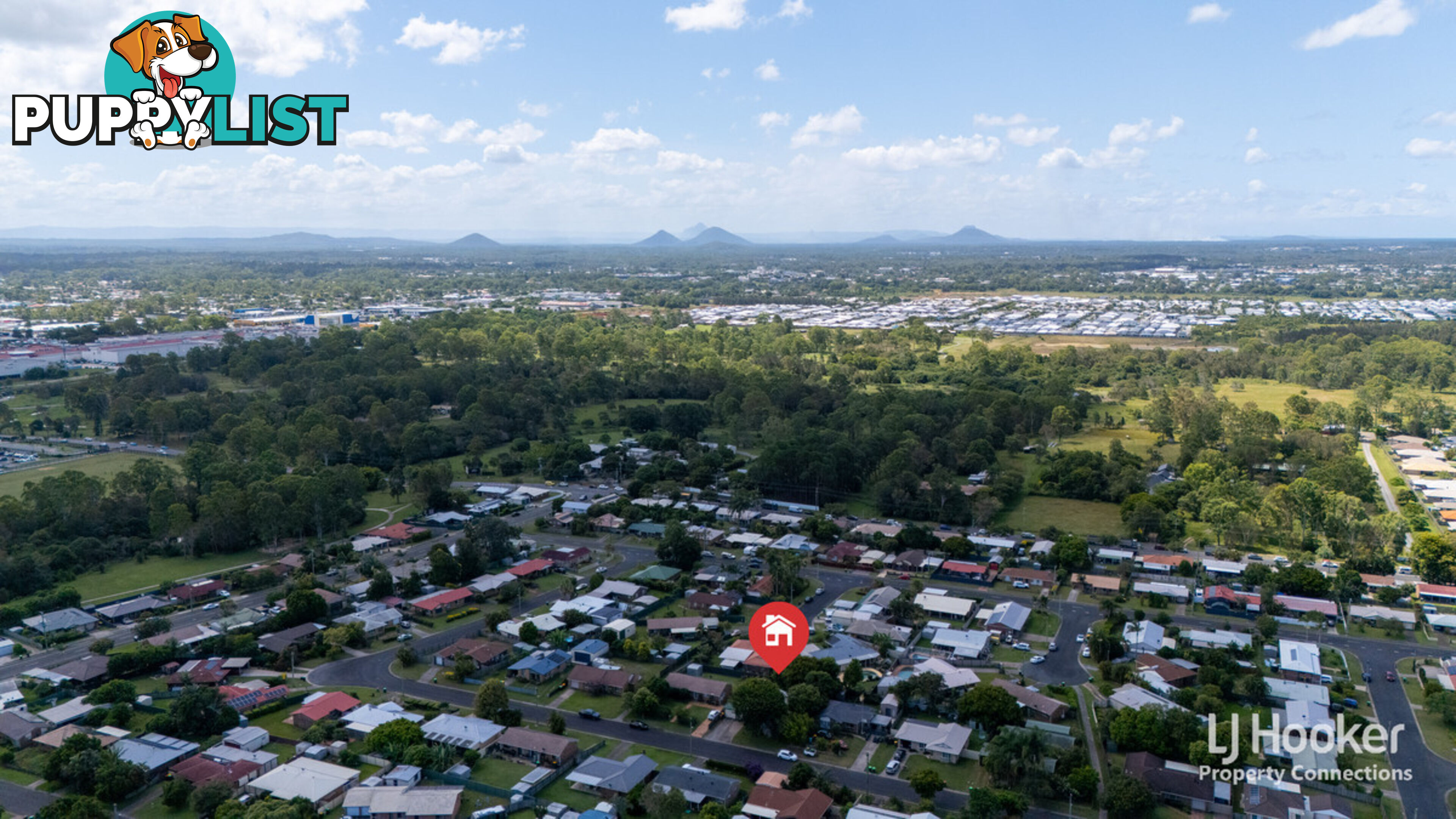 19 Carmela Crescent MORAYFIELD QLD 4506