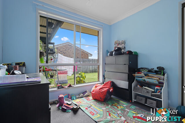 19 Carmela Crescent MORAYFIELD QLD 4506