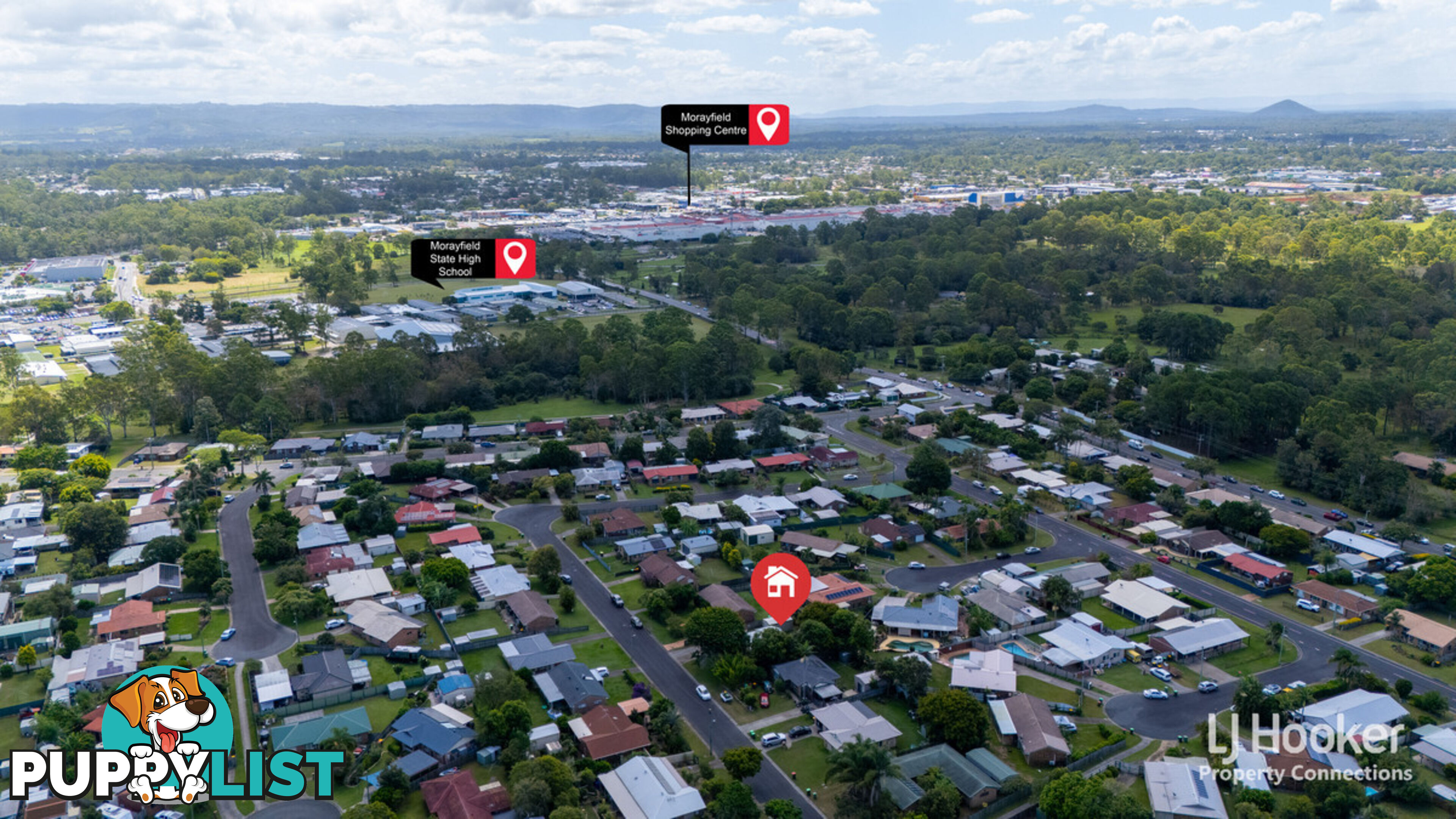 19 Carmela Crescent MORAYFIELD QLD 4506