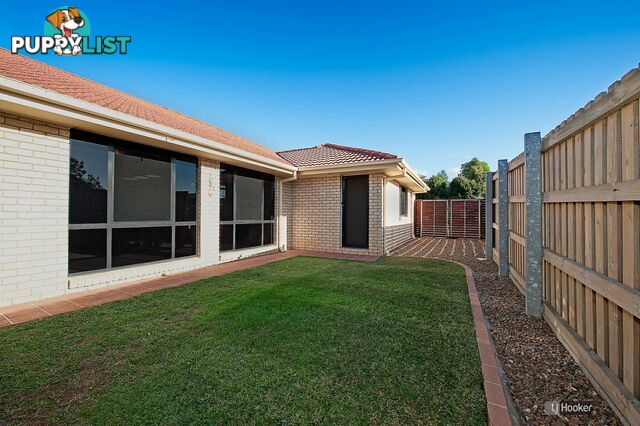 38 Fantail Crescent MANGO HILL QLD 4509