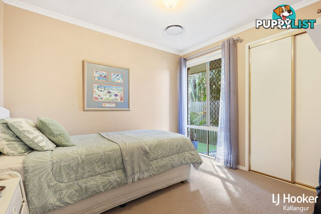 17 Raffindale Avenue DAKABIN QLD 4503