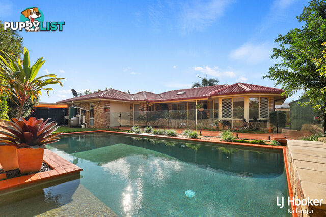 17 Raffindale Avenue DAKABIN QLD 4503