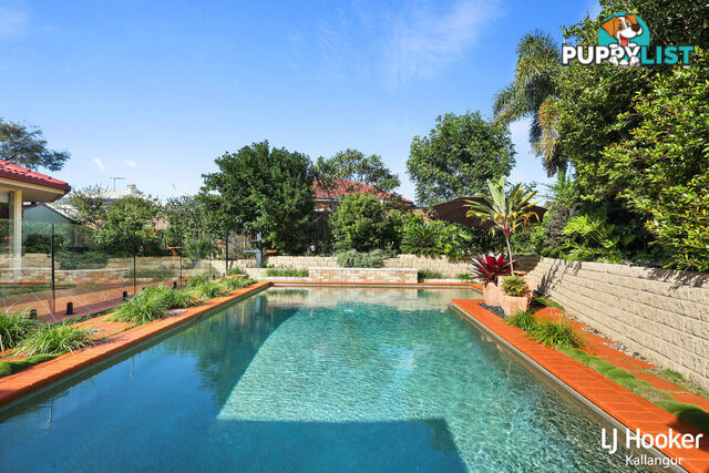 17 Raffindale Avenue DAKABIN QLD 4503