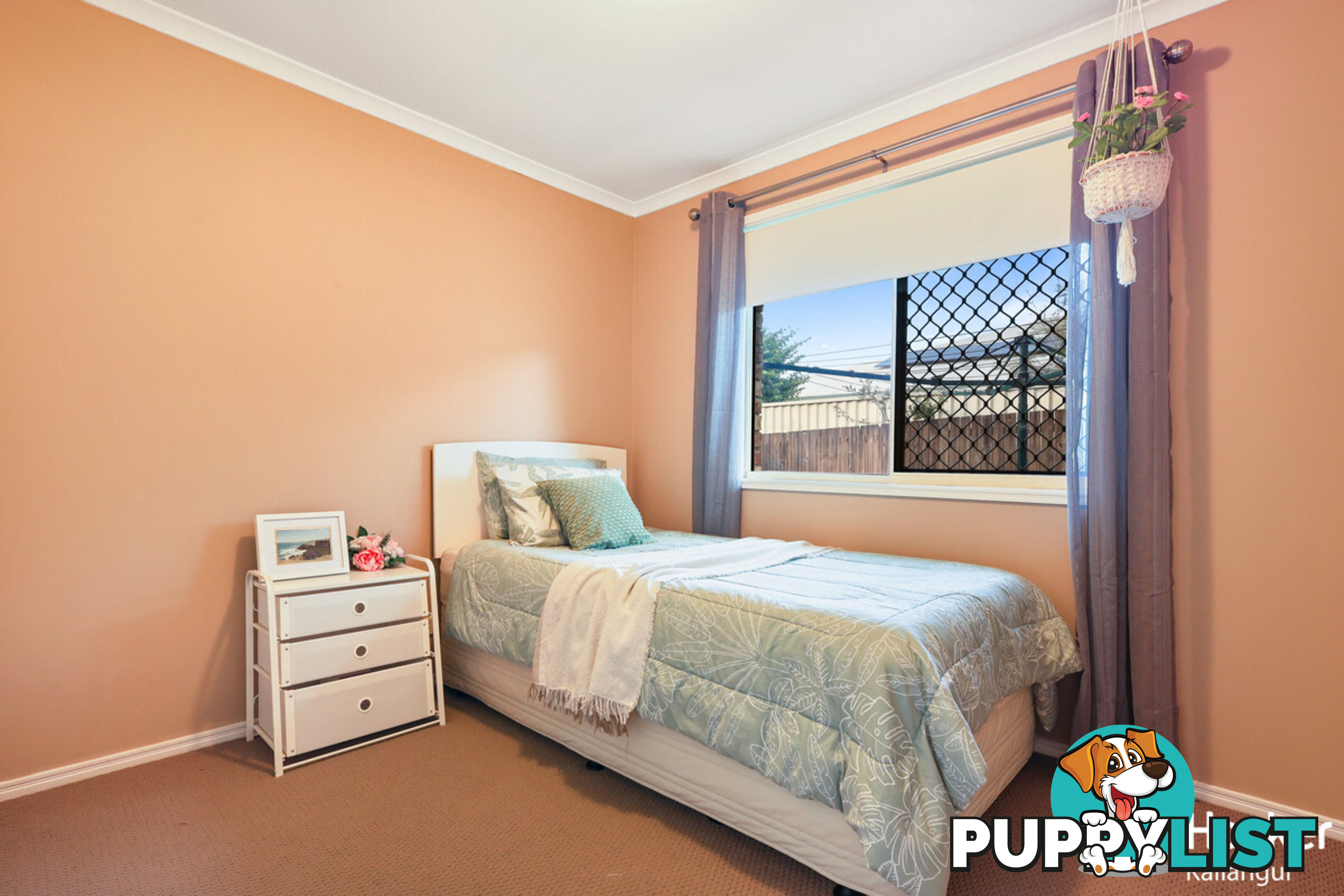 17 Raffindale Avenue DAKABIN QLD 4503