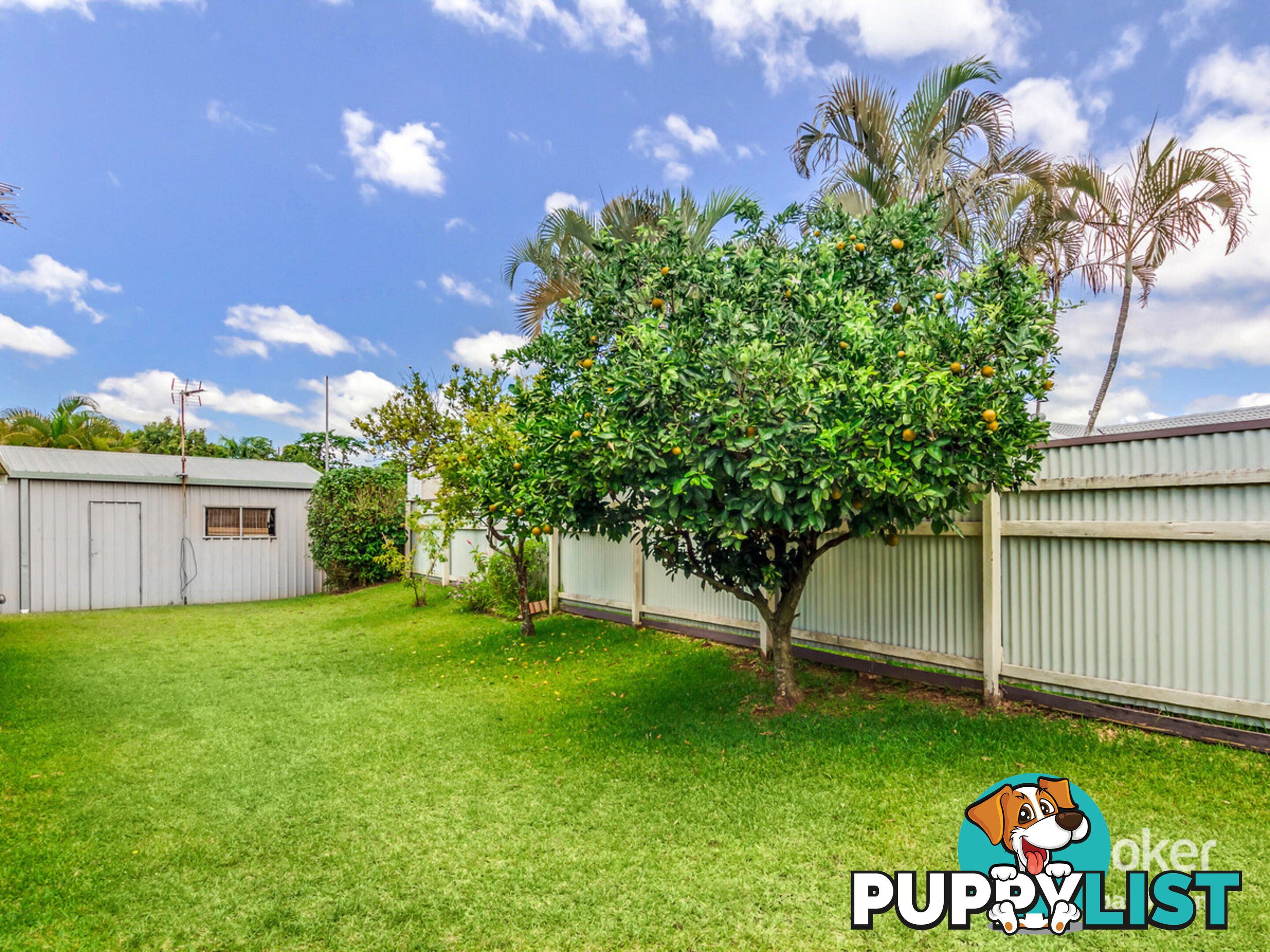 17 Lenae Court MURRUMBA DOWNS QLD 4503