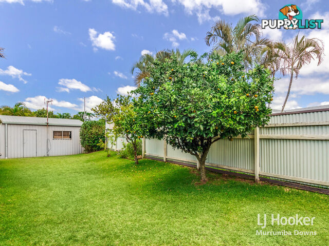 17 Lenae Court MURRUMBA DOWNS QLD 4503