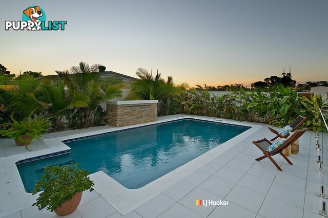 1006 Dohles Rocks Road GRIFFIN QLD 4503