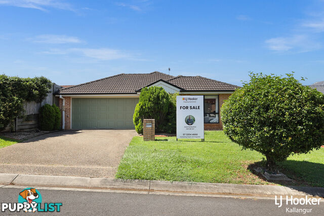 12 Northampton Court KALLANGUR QLD 4503