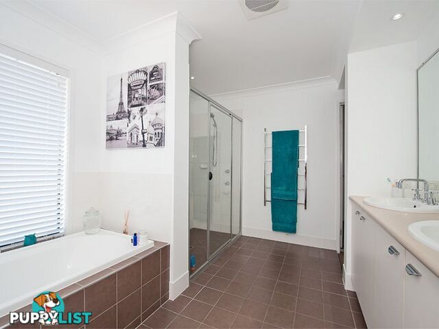 45 Whitecedar Circuit NORTH LAKES QLD 4509