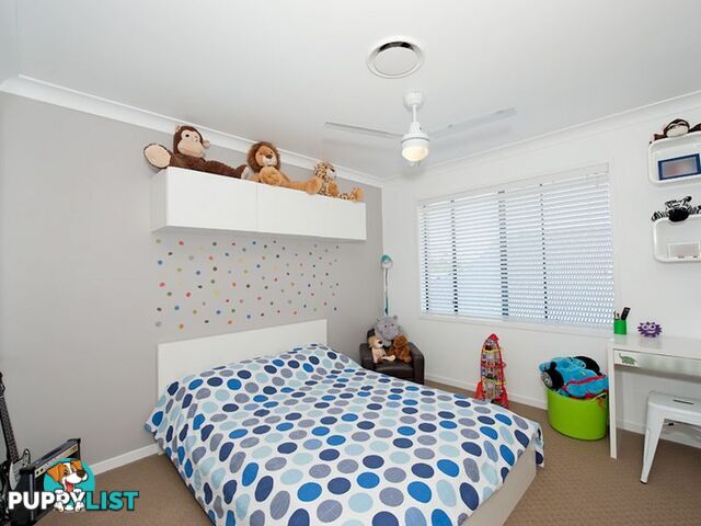 45 Whitecedar Circuit NORTH LAKES QLD 4509