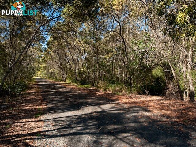 45 Whitecedar Circuit NORTH LAKES QLD 4509