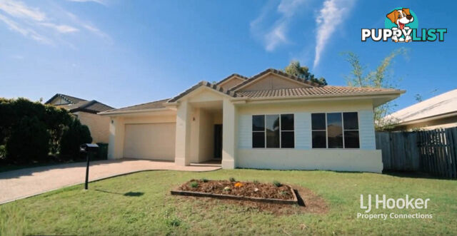 19 Wallaroo Circuit NORTH LAKES QLD 4509