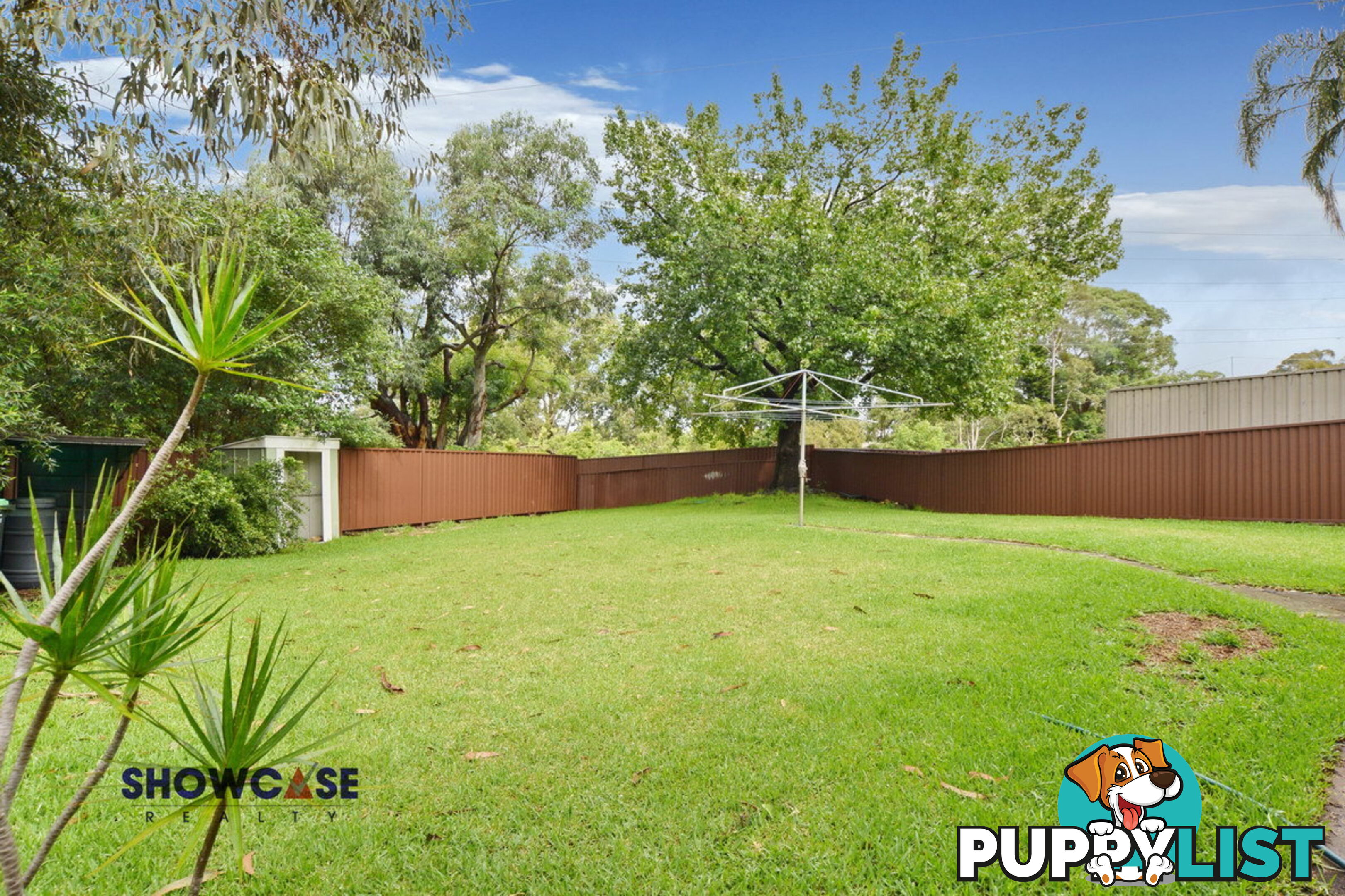 6 Peach Ct Carlingford NSW 2118