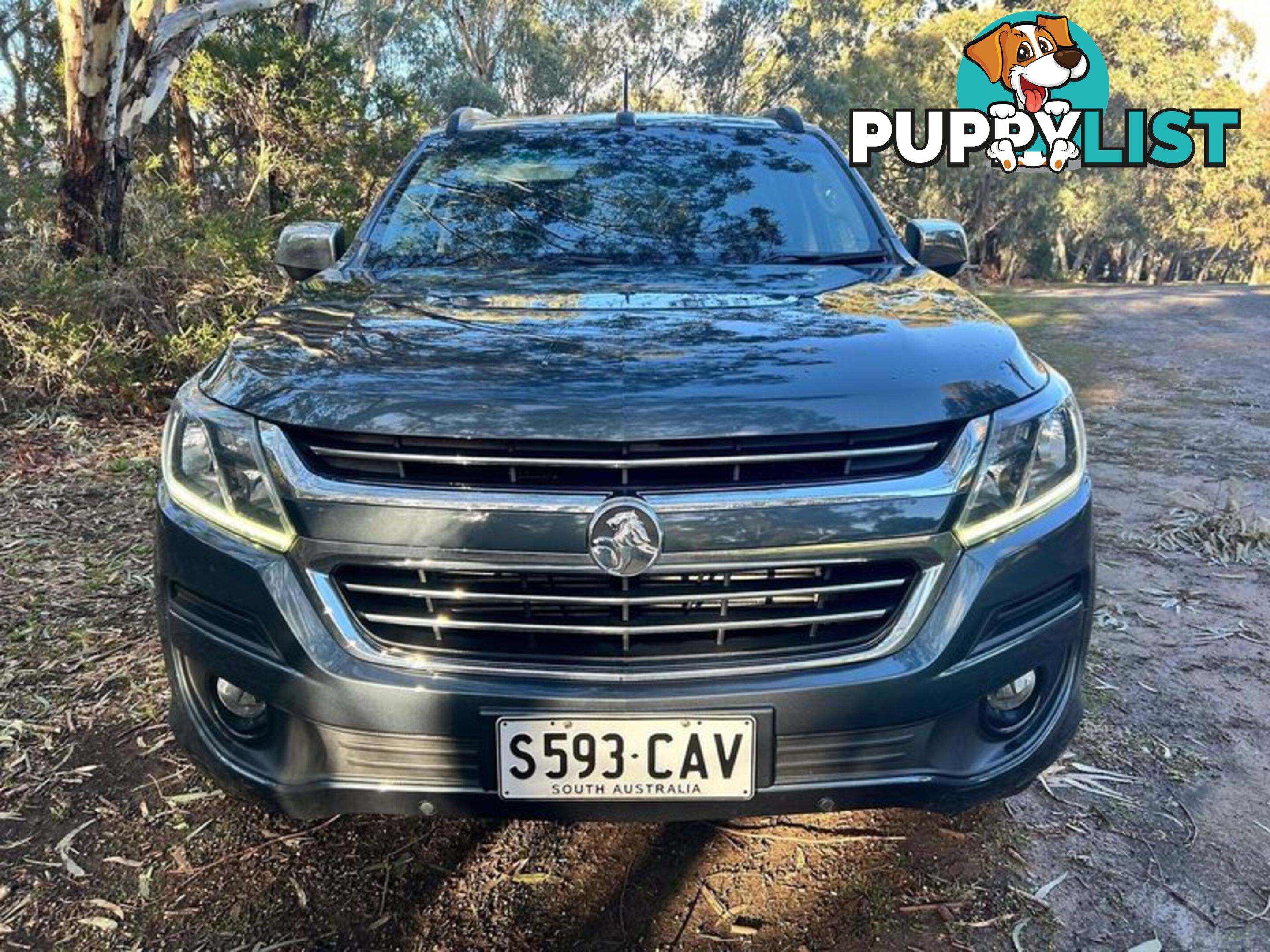 2019 Holden Trailblazer LTZ RG SUV