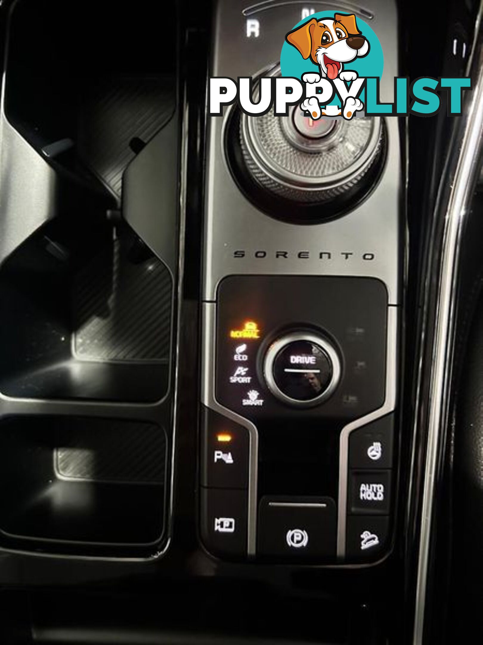 2023 Kia Sorento Sport+ MQ4 PE SUV