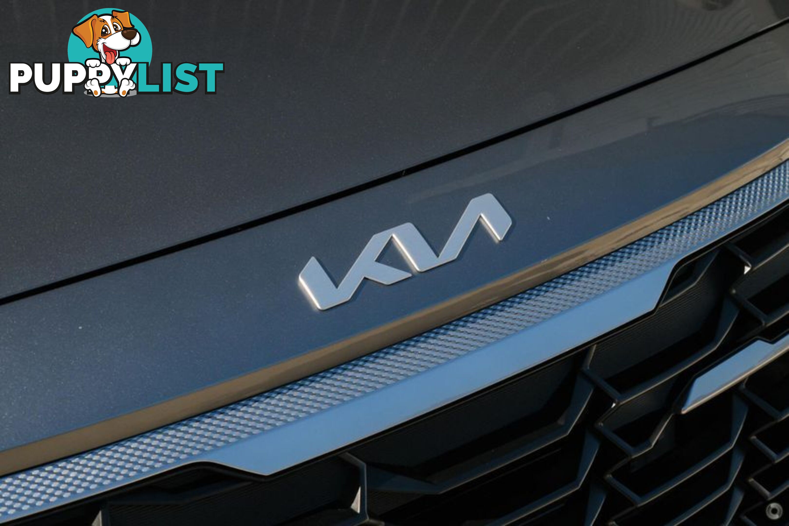 2025 Kia Seltos Sport+ SP2 PE SUV