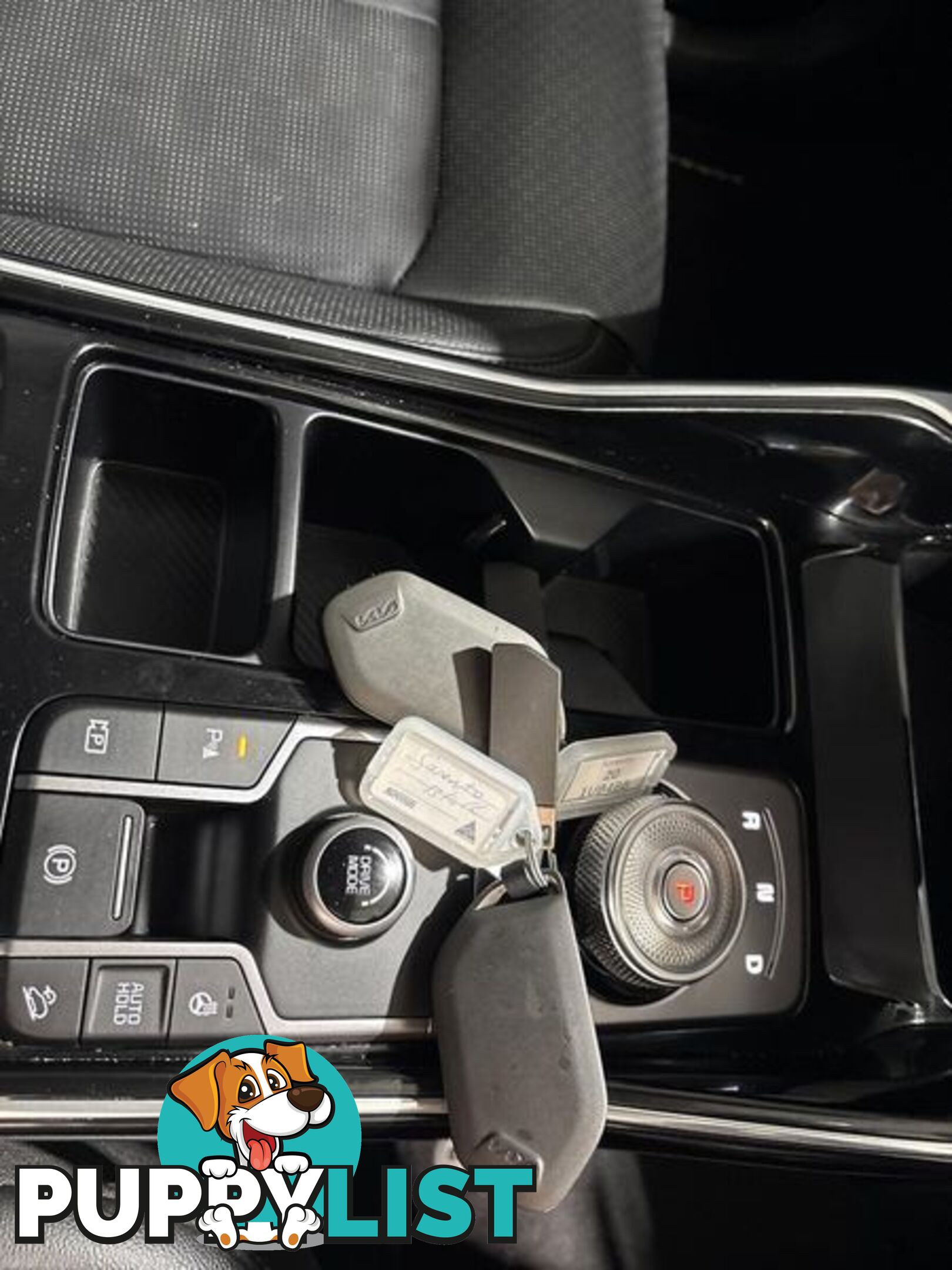 2023 Kia Sorento Sport+ MQ4 PE SUV