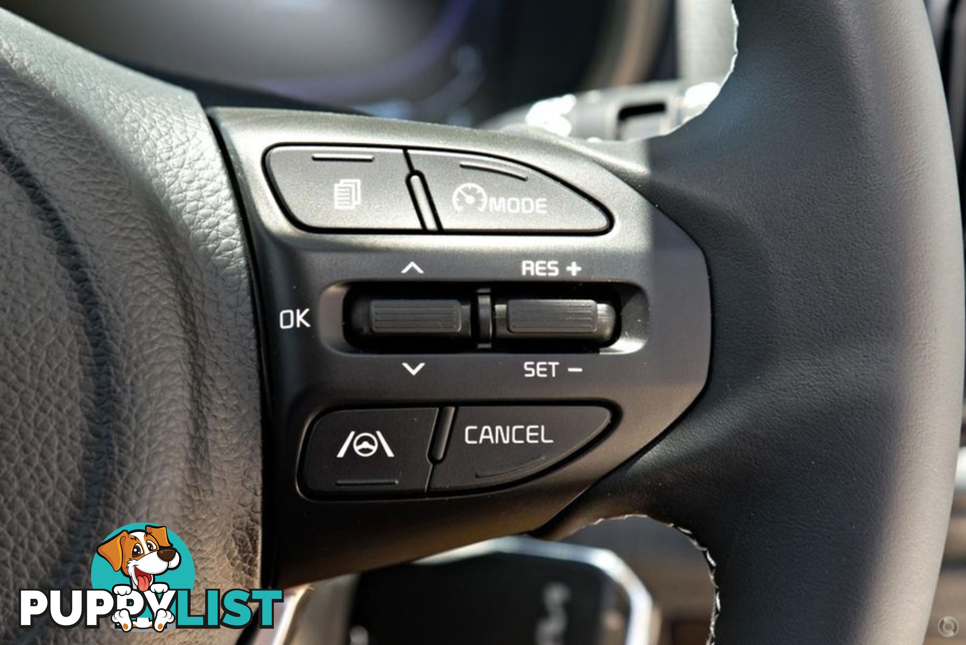 2025 Kia Picanto Sport JA PE2 Hatch