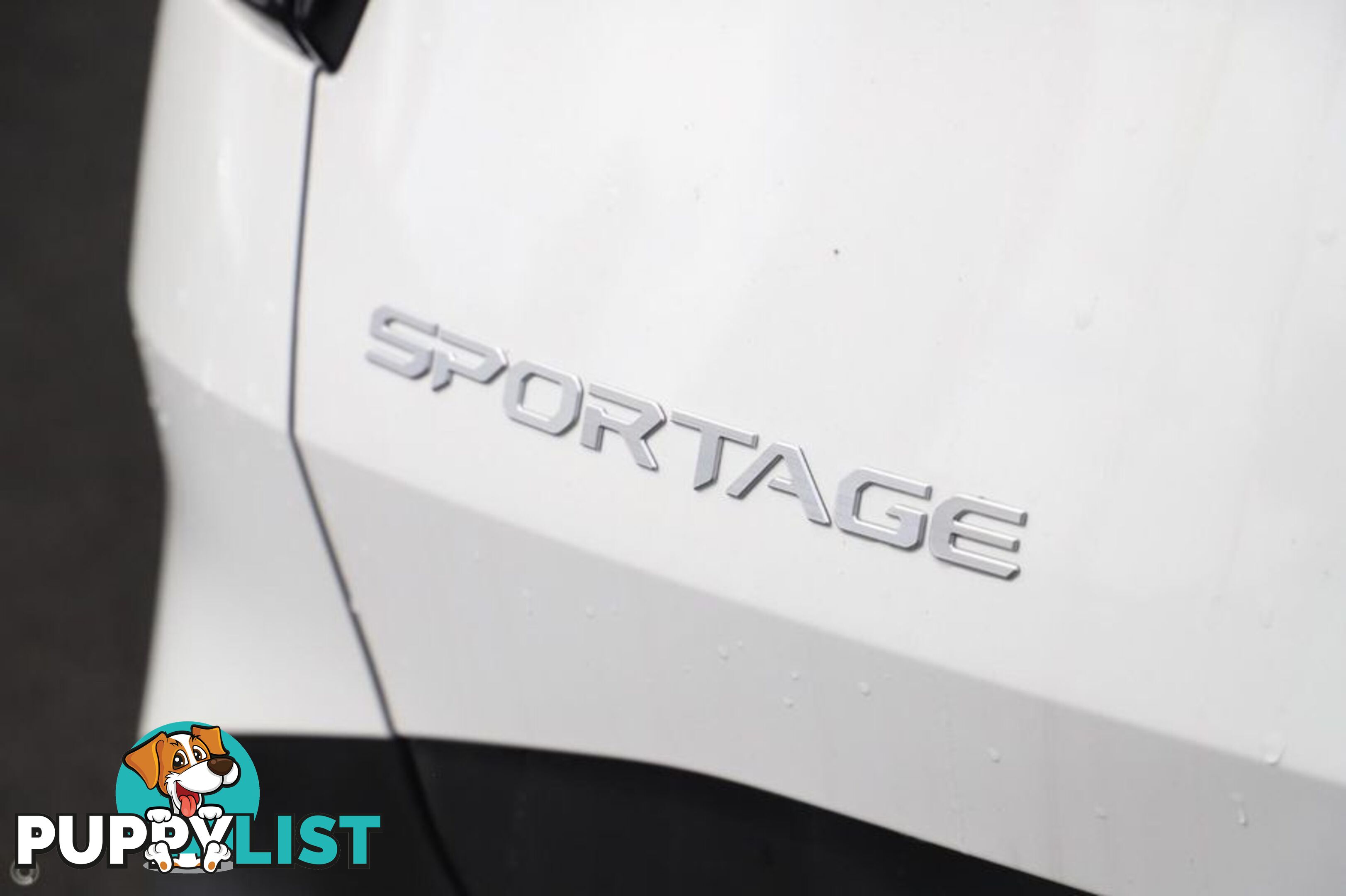 2024 Kia Sportage S NQ5 SUV