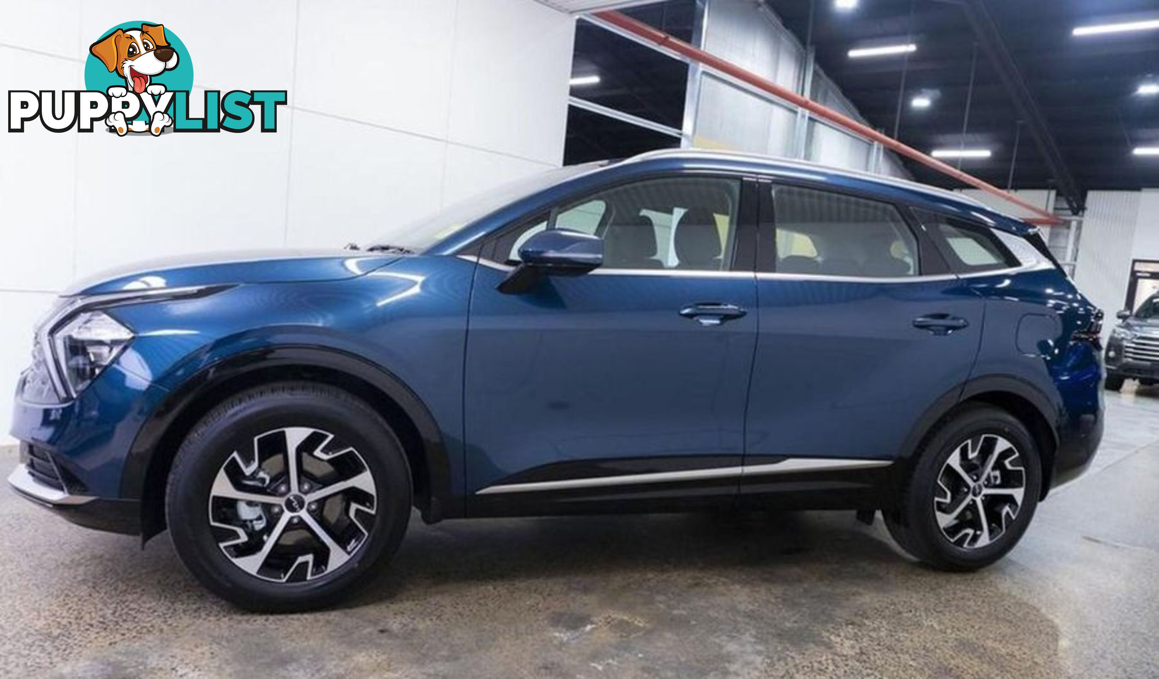 2024 Kia Sportage HEV SX NQ5 SUV